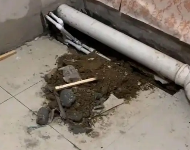 莘县卫生间漏水检测哪家好