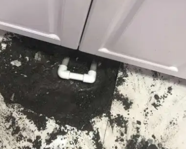 莘县查漏水哪家好