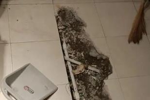 莘县卫生间漏水检测电话